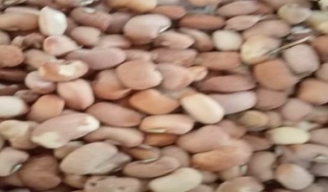 Beans